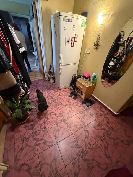 Dristor, Camil Ressu, Scoala 88 Odobesti